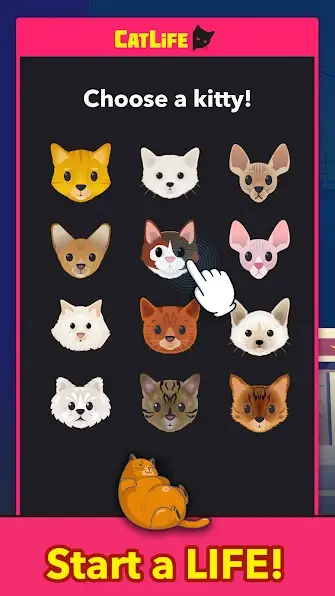CatLife - BitLife Cat Game Tips